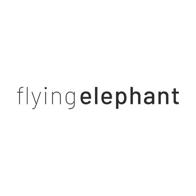 Das Projekt groove2grow wird von flying elephant unterstützt.
